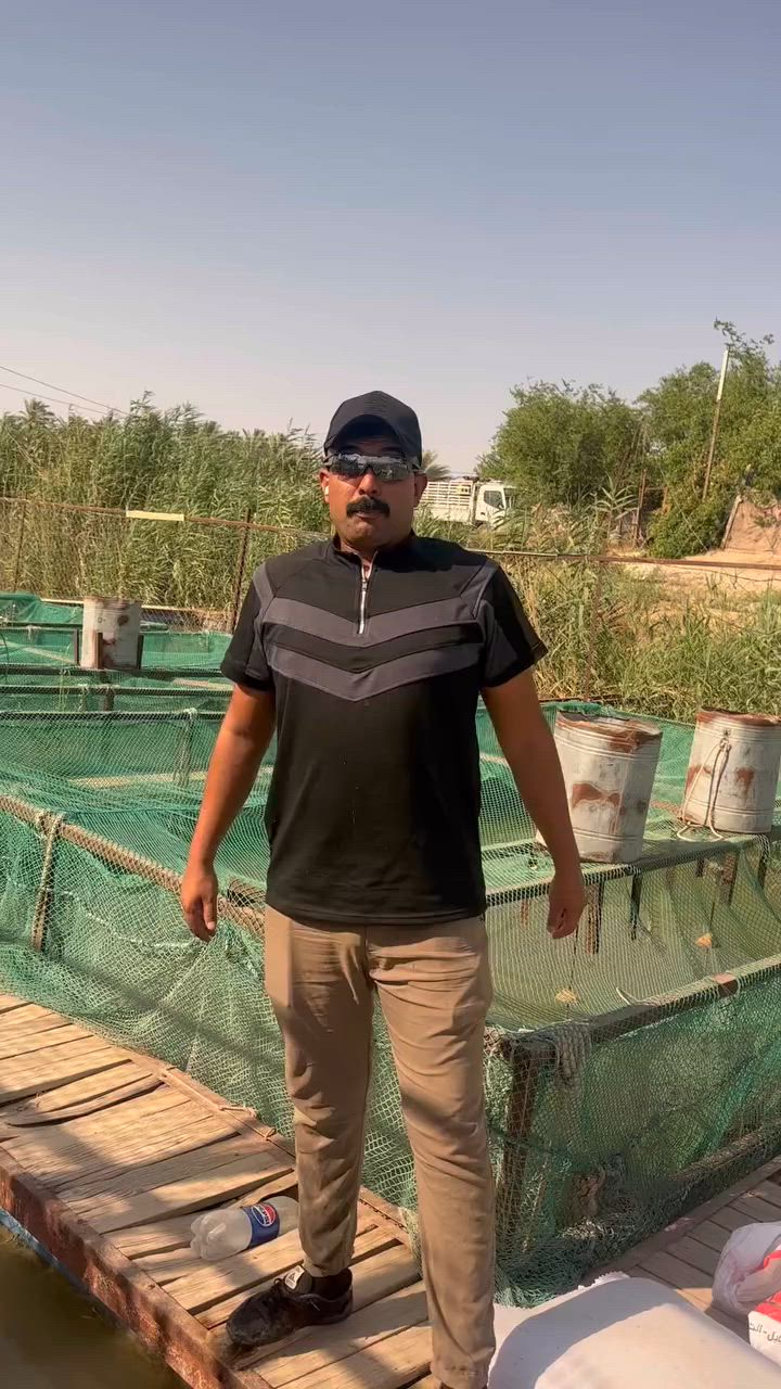 🔥🔥تحطيم الاسعار🔥🔥
بتاريخ. 2026/6/23
السمك جميع الاوزان ٤٥٠٠
السمك مع الشوي ٥٥٠٠
كاريبي اقفاص درجة الاولى 
العنوان: حصيبة الشرقية المضيق الشارع العام 
للحجز ***********  يوجد توصيل
للبيع مفرد _جملة
 بادارة اخوكم ابو يقين

