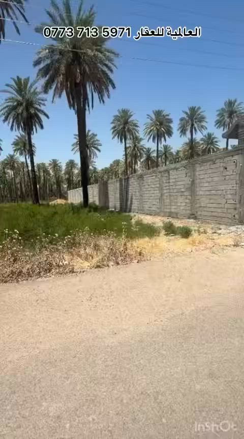 #فرصة مميزة في الراشدية - منطقة الدباغية 🌴

للبيع دونم ملك صرف بموقع هادئ ومناسب للسكن 

✅ الواجهة 40 متر
✅ النزال 62 متر
✅ متوفر ماء وكهرباء
✅ يَصلح للسكن أو للاستثمار الزراعي

بين الطبيعة الخلابة وأشجار النخيل،من أجمل مناطق الراشدية.

💰 السعر: 325 مليون دينار

📞 للتواصل والاستفسار: ‭***********‬
