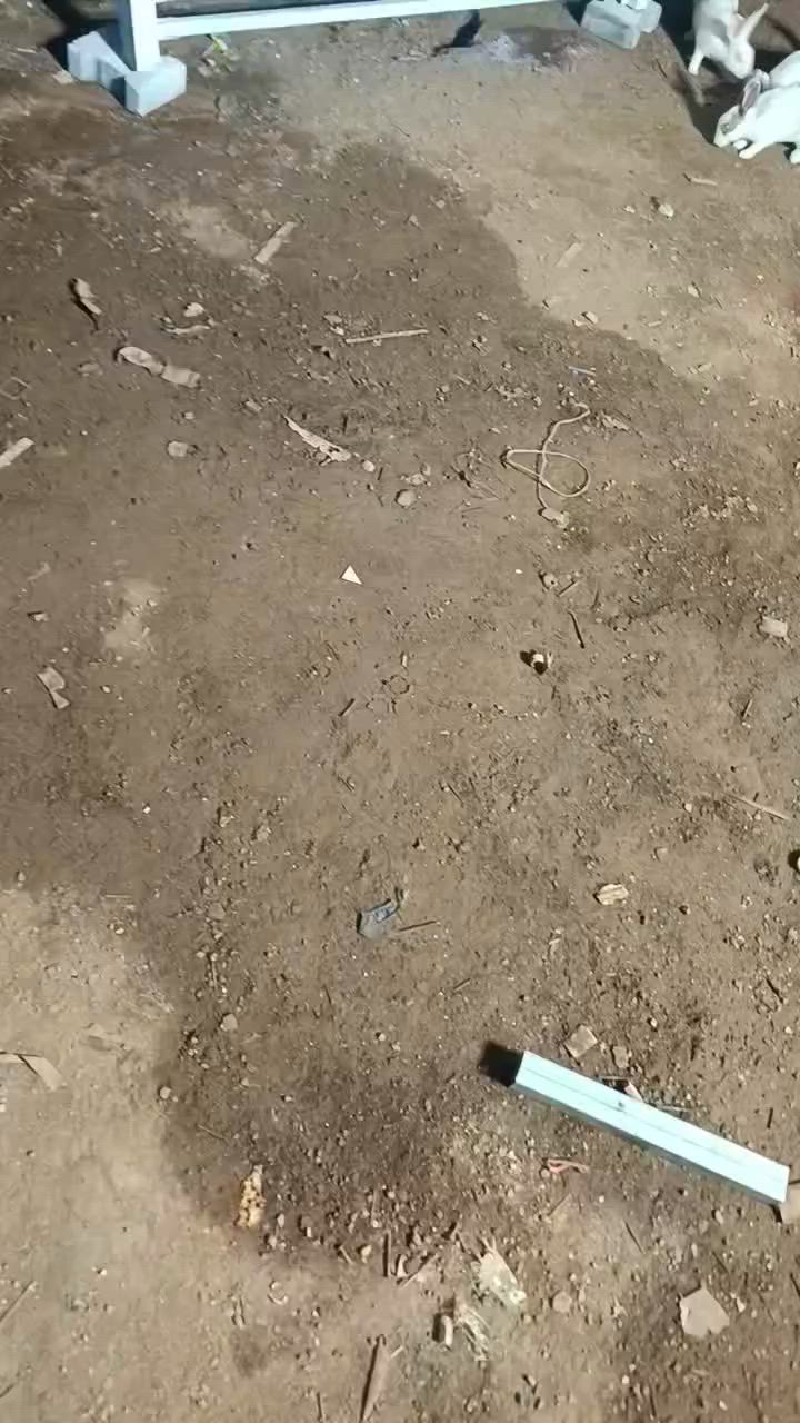 باب مستعمله نضيفه كلش قياسه متره ونص  مكانه نجف حي الميلاد فااو  ***********
