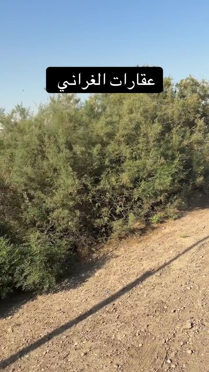 بسم الله الرحمن الرحيم 
شاطيه قرية الفردوس المساحة 3 دونم واجهة على السده اكثر من 120م 
حصه مائية من نهر دجلة النهر بجانب الارض 
تباع كاملة او دوانم 
#علي_الغراني_للعقار
وسام فيصل 
***********
***********
علي ثائر
‏‭***********‬
‏‭***********‬
شارع السايدين الجديد 
مقابل ملعب جمال زليزل
