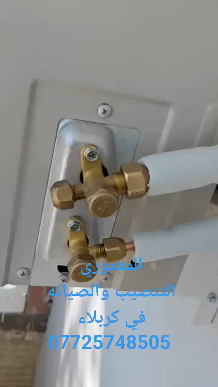 ***********
