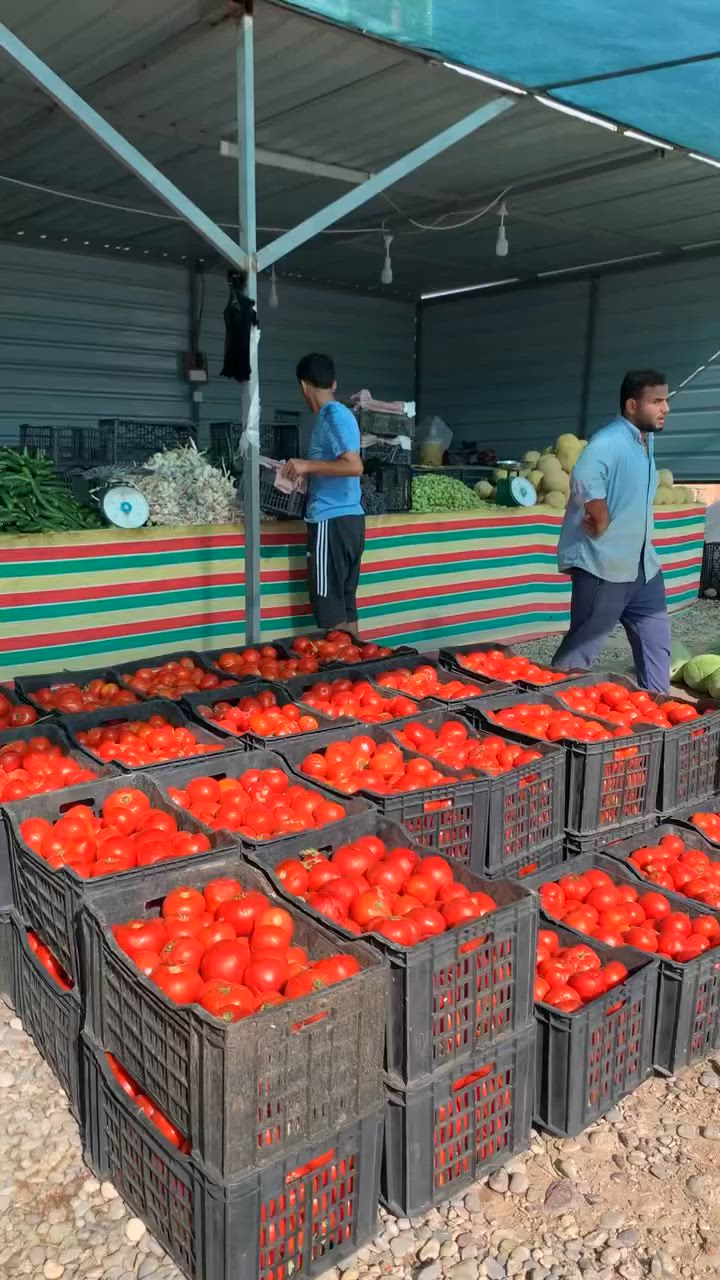 السلام عليكم
أسعار المخضر آليوم من علوه العمده 
الشرقاط سأحل الأيسر اسديره عليا الفهد
تأريخ آليوم 6/23
بلاش آليوم


**إذا كنت صاحب هذا الإعلان وتريد حذفه لأي سبب، رجاءا أرسل رسالة إلى الدعم الفني**