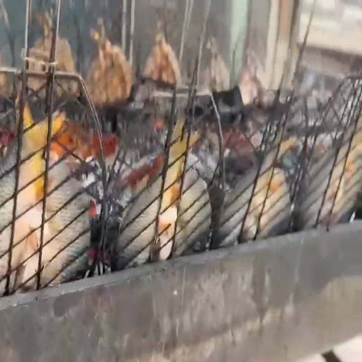 .. 🤍🤍⛅️🌱
- ‏اللهُم بداية صباح مُمتلئه بَأشياء لطيفة .
كيلو سمك مسكوف على حطب ناشف مع مقبلات 8
يوجد توصيل ***********
