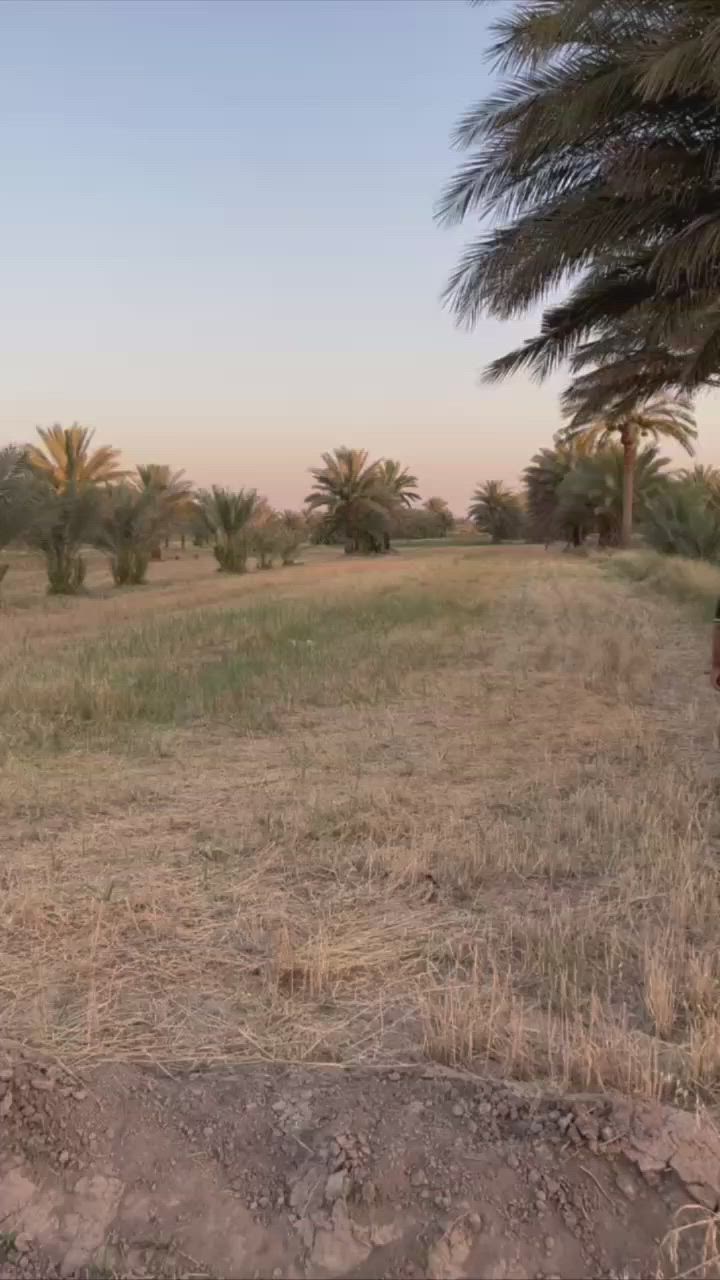 من أجمل مناطق ريف بابل – ناحية نيل 🌴

🏡 أرض زراعية دونم وربع
🌴 14 نخلة
📏 واجهة 15 متر
🛣️ شارع 5 متر
💧 ماء سقي وإسالة متوفر

📞 ***********
