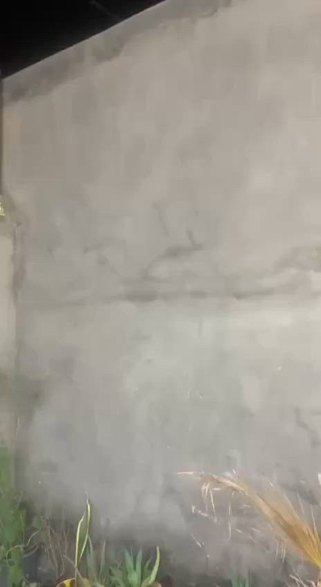 سلام عليكم منغولي للبيع كفرات كامله تعمير جديد ما عوزها برغي سلف هندر كلها جديد شاده مكاني ديوانيه الحمزه الشرقي


**إذا كنت صاحب هذا الإعلان وتريد حذفه لأي سبب، رجاءا أرسل رسالة إلى الدعم الفني**