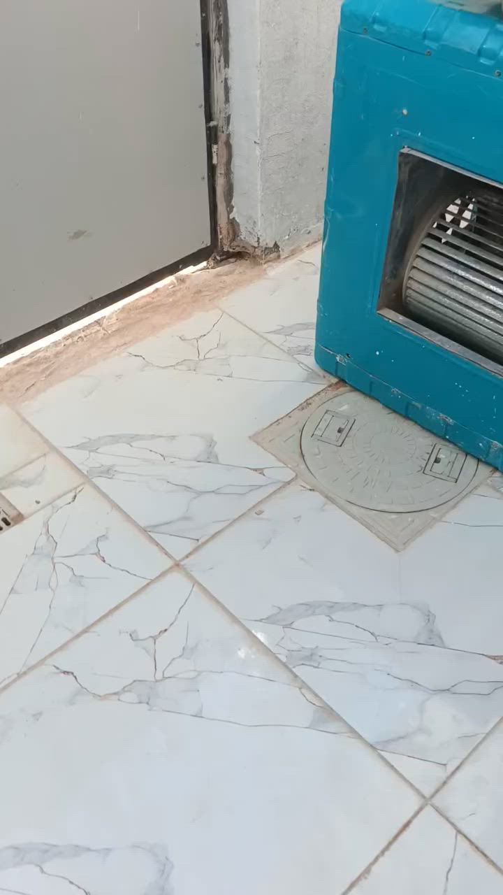 ***********
