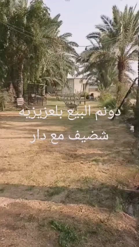 دونم للبيع بلعزيزيه شضيف مع دار سندويج اتصل عله رقم *********** او ومراجعة مكتب عقار دار السلام بلموظفين مقبيل مدرسة ن والقلم
