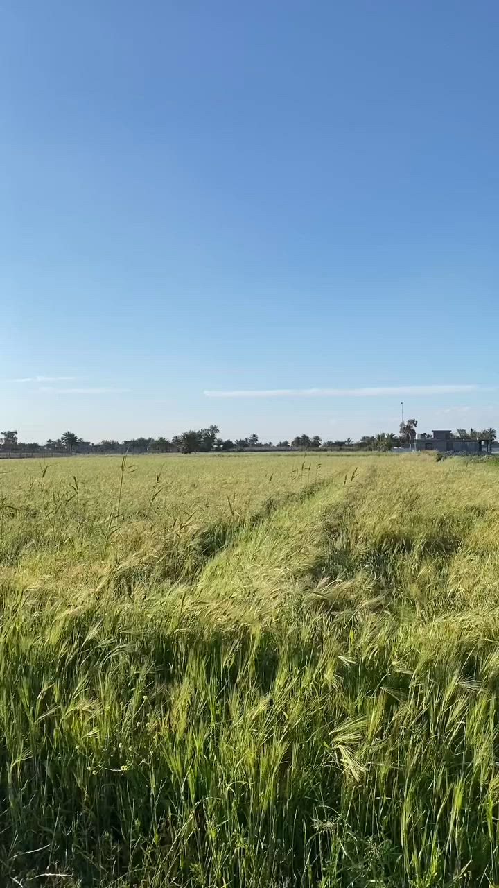 ٩ دونم عقد ١١٧
الوجه ٥٠م ، النزال٤٦٠م
موقع مميز ثاني قطعه عن الشارع الرئيسي
على وجهين
مخدومه بالكامل
📍الموقع ريف الشعله منطقه(الثنيه)
تبعد عن الشعله ٨ دقيقه وعن سريع ابي غريب ١٠ دقيقه
تنباع ٥ دونم او بالكامل
للاستفسار اكثر مراسلة الصفحة او الاتصال ع الارقام التالية
-***********
***********-
