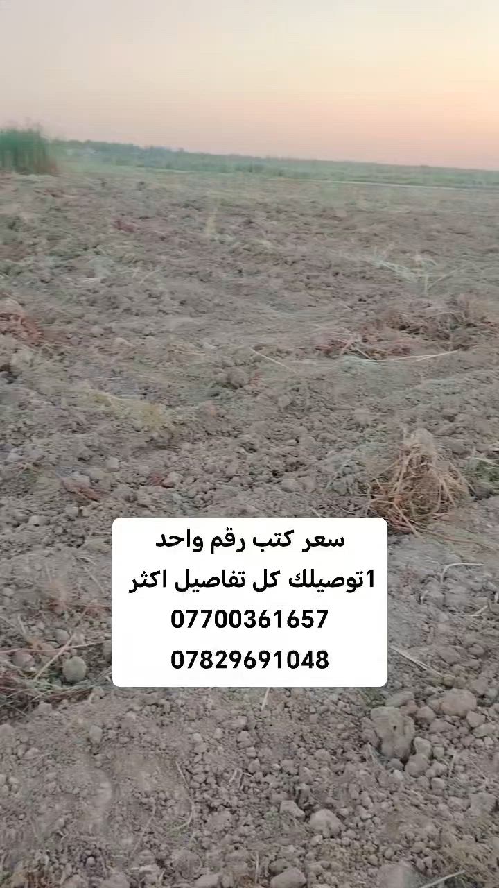 #إعلان 3دوانم البيع واسط قضاء الصويره جويمسه الغربيه وره حي المغرب تبعد عن شط كيلو وعن طريق المطار كيلو ونص وعن محطة دعيل كيلون 800متر 
#متوفره كافت الخدمات ماء سقي ماء ساله كهرباء شارع سبيس 
#جنس العقار طابو زراعي سند 25تحويل مباشر بطابو الصويره 
#اي استفسار احنه ب الخدمه ..
#مكتب (العقارات  ايسر الجحيشي في صويره) يقدم افضل العروض والتعامل المحترم والصادق مع الزبائن الكرام.
#الي عنده قطعه للبيع او دوانم نشتري حسب البورصه وافضل سعر للقطعه .
متوفره كافت دوانم والمزارع ودور سكنيه 
للمعلومات والستفسار اتصل على الارقام التاليه
***********///*********** /وتساب فايبر 📲☎️📞
