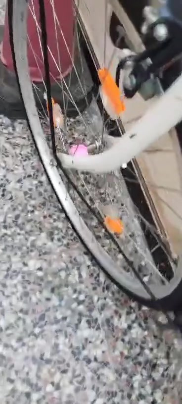بايسكل ايدز باله حاويه نضافه 100متعوب عليه شوفت عين مديل 20حجم26بس شراي يجي سعره ١٨٠ مجال قليل مو شراي لايجي خاص واتساب شراي ***********مكاني بصره
