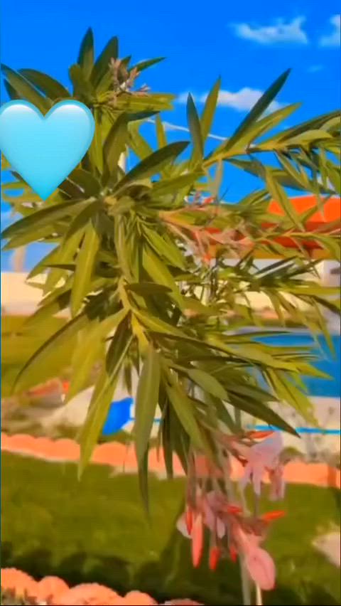 🛑 دوانم زراعية  طابو سند 25 للبيع تنتظرك في موقع مميز 🏝📌موقع العقار :📌في بغداد - ابو غريب  📌و مقاطعة 10 مناصير📌و مقاطعة 9 عيايشه📌و مقاطعة 14 عكركوف📌و منطقة السميلات📌و قطاع عشرين 📌و منطقة الحمدانيه ثانيه📌و منطقة مصالحه  قرب جسر ماجدكل دوانم سند 25 🧾ملك تحويل ثاني يوم بأسم المشتري في طابو ابو غريب #الاسعار تبدي من (35) مليون 💸 الى (١٦٠) مليون 💸#ملاحضه كل دوانم صالحه بناء سكن 🏡و صالحه لبناء شاليهات وأماكن استراحه 🏖و صالحه للاستثمار  🏢متوفره كافة الخدمات للاستفسار والمزيد عن المعلومات يرجى مراسلتنا  على الواتساب او  الاتصال على الهاتف 

***********
***********
