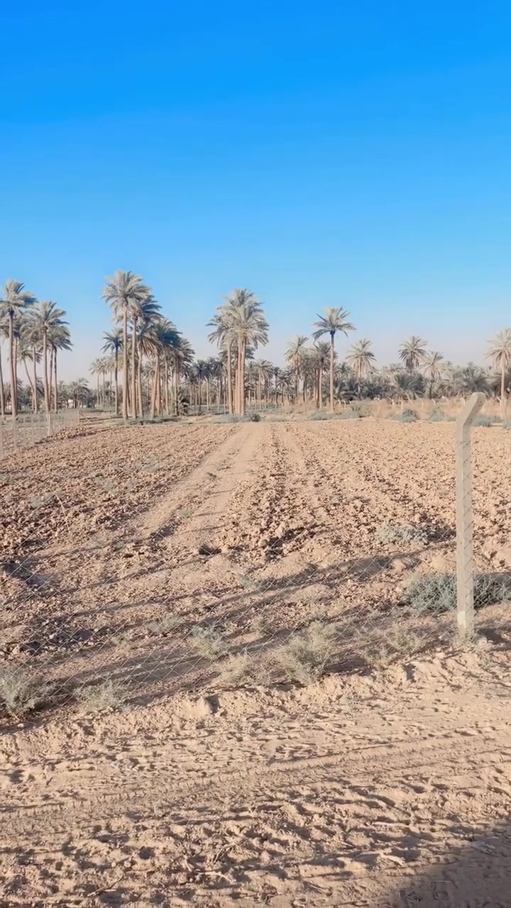 سلام عليكم للبيع دونم ونص بابو غريب بحميد شعبان طابو ملك صرف بنص المنطقه والمزارع مكانهن كلش حلوو  اتصل ولاتتردد ***********
