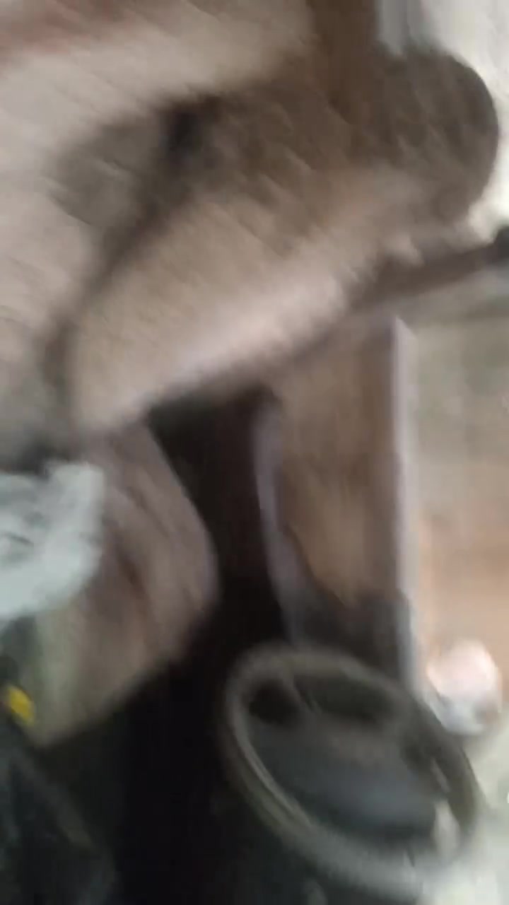 السلام عليكم مارك كصيف رقم نجف راعيهه بالبصرة السيارات شغاله اروح بيهه للشغل ورجع المكينه ونجي السعر 20 ***********
