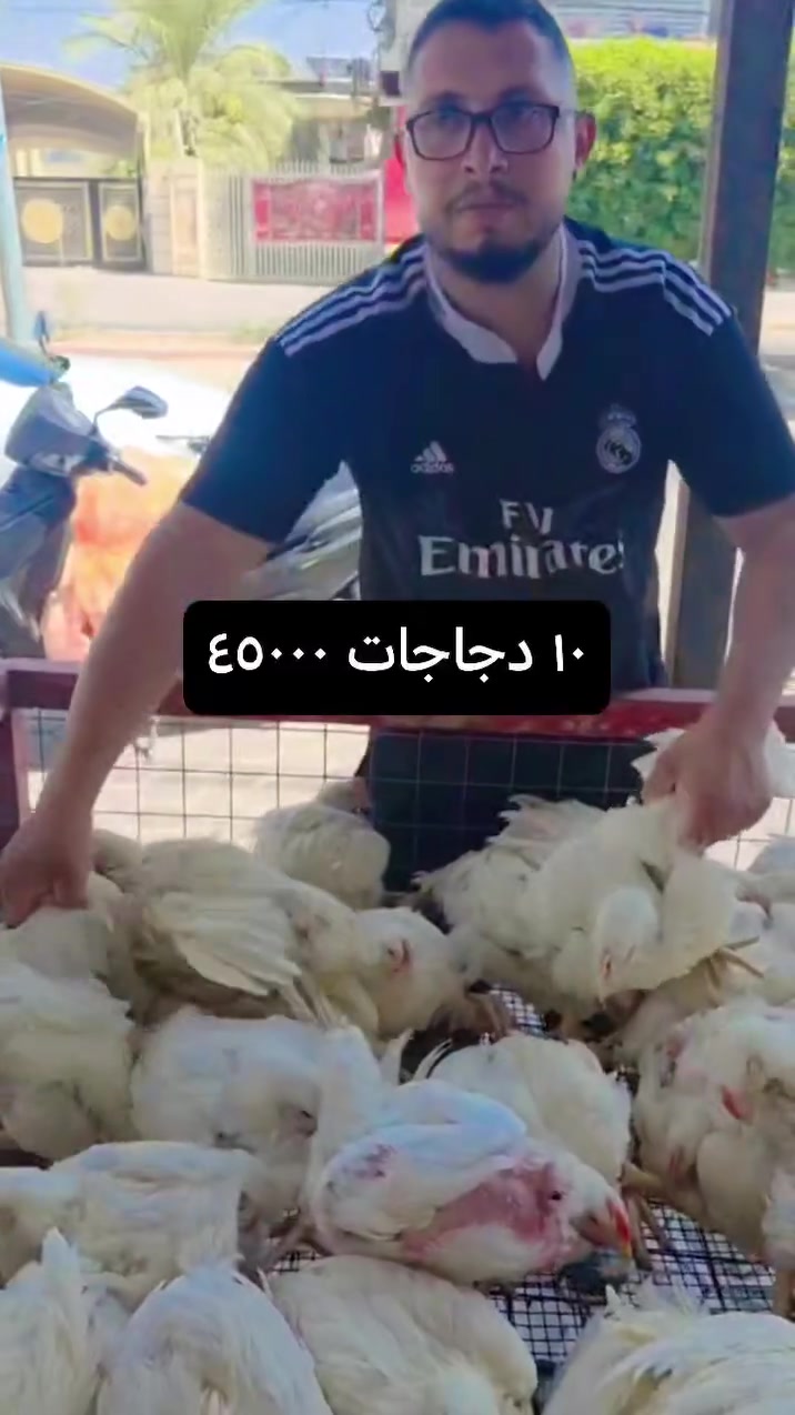 توجد خدمة توصيل داخل المحمودية
***********
***********
