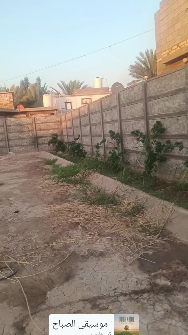 سلام عليكم مزرعه ١٢٥٠متر طابو زراعي سند ٢٥كافه خدمات من ماء كهرباء سعر ١٣٠مليون موقع على النيل القديم قرب مخازن مرجان رقم الهاتف/***********
