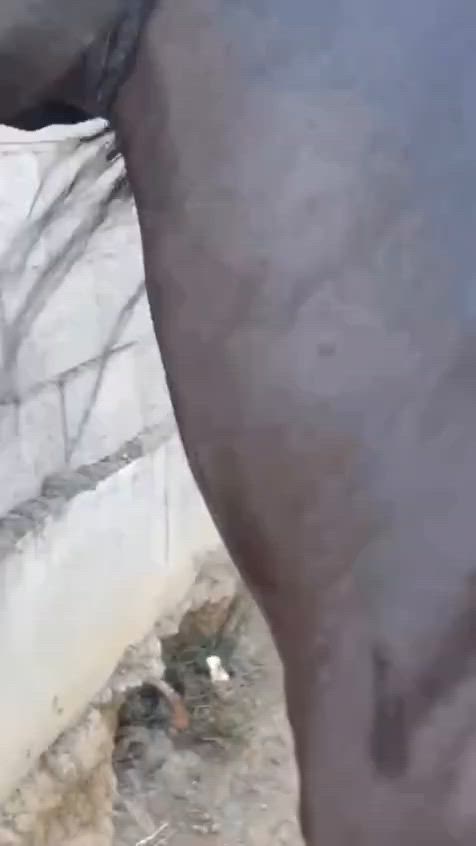 السلام عليكم
فرس اهوازية فناص

كتاب وشريحة

ارتفاع ١٥١ مسطرة

صاغ سلم على كل عيب

شرط الخياله والأمان والاستعراض

عشار ٧ أشهر

العمر ٦ سنوات

المطلوب ٣٢٥٠ ثلاثه مليون و وربع وبيها مجال 

تفاصيل گدامك....

للاستفسار الاتصال على الرقم ***********

المكان بغداد المدائن سلمان باك

شراي اتصل
