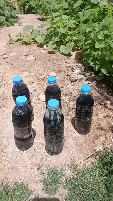 الله شاهد جرب وراح تستفاد هوايه لزرعك منه لنخيل لجميع الشتلات أصحاب المزارع يوجد دبات بسعر مناسب جدا يوجد توصيل مجاني فقط بني منصور الهوير المدينه الخاص باهله رقم الوساب+964 774 868 3014


**إذا كنت صاحب هذا الإعلان وتريد حذفه لأي سبب، رجاءا أرسل رسالة إلى الدعم الفني**