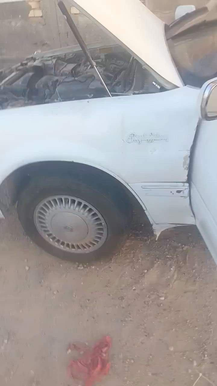 غراض هارتوب بطه للبيع تفتح بيدك *********** مكانهه نجف حي النداء
