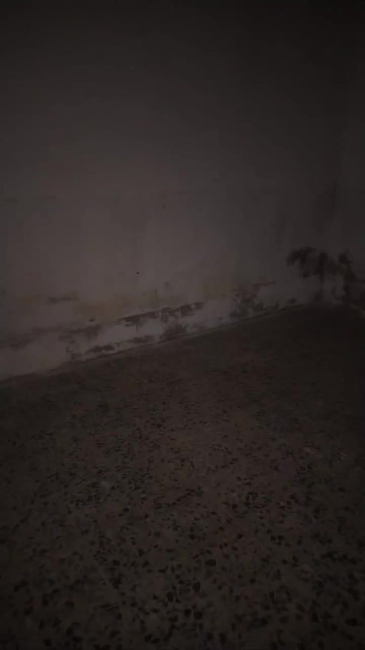 سلام عليكم بيت البيع مقابل قريه الغدير عامود ٢٨٦ شارع  الملعب الخماسي المساحه ١٠٠متر  رقم واتساب ***********
