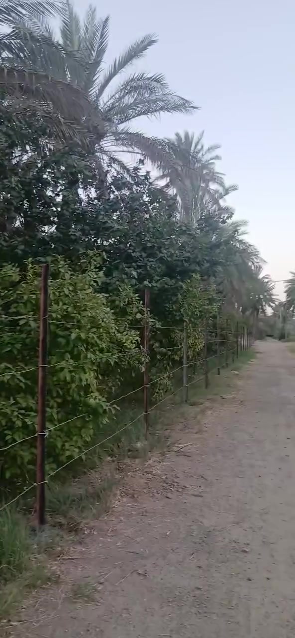 سلام عليكم /يوجد كادر عمل الاسيجه واي عمل اخر. لاستفسار اتصال على الررقم. *********** بي واتساب
