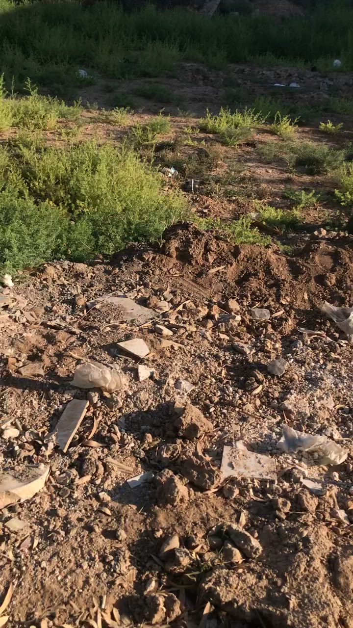 قطعه الارض اللبيع 150متر الواجهة 7ونص والنزال 20طابو زراعي سند 25بين الحديد وبين دور الزراعه واصلها مي وكهرباء منطقه الخيلانيه مقابل عرب عداي قريبه على المشروع الصب وقريبه على جامع  لاخيار السعر 22مليون وبيه مجال رقم الهاتف ***********
