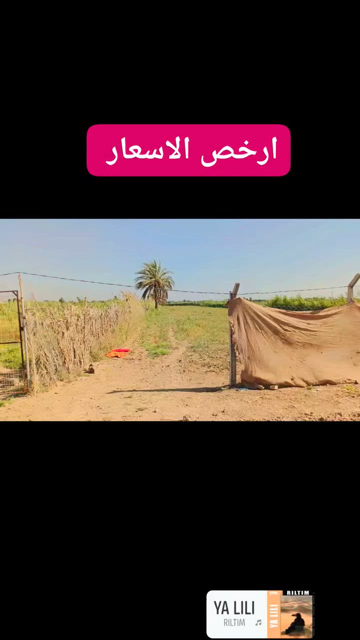 سلام عليكم يتوفر دونمين عقد زراعي العنوان حي الإنتصار الراشدية شارع شارع ابو وليد الشريفي قرب السيلاوي بسعر ٧٥ بي مجال استفسار فلاح المرسومي ‏‪***********‬‏
حسن الغريري ‏‪***********‬‏ ليث الدليمي ***********
