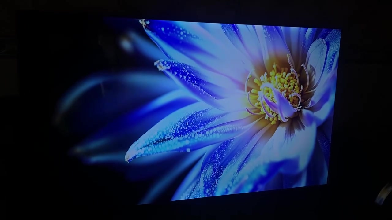 شاشه حجم 65 حقيقي الدقة 4K حقيقي تدعم جميع برامج وبسعر كلش مناسب  تفاصل واتساب ***********

