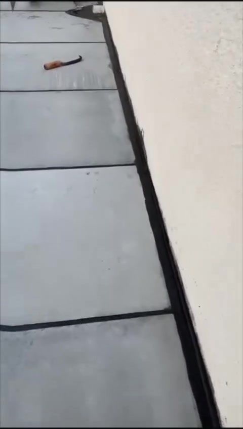 ***********
