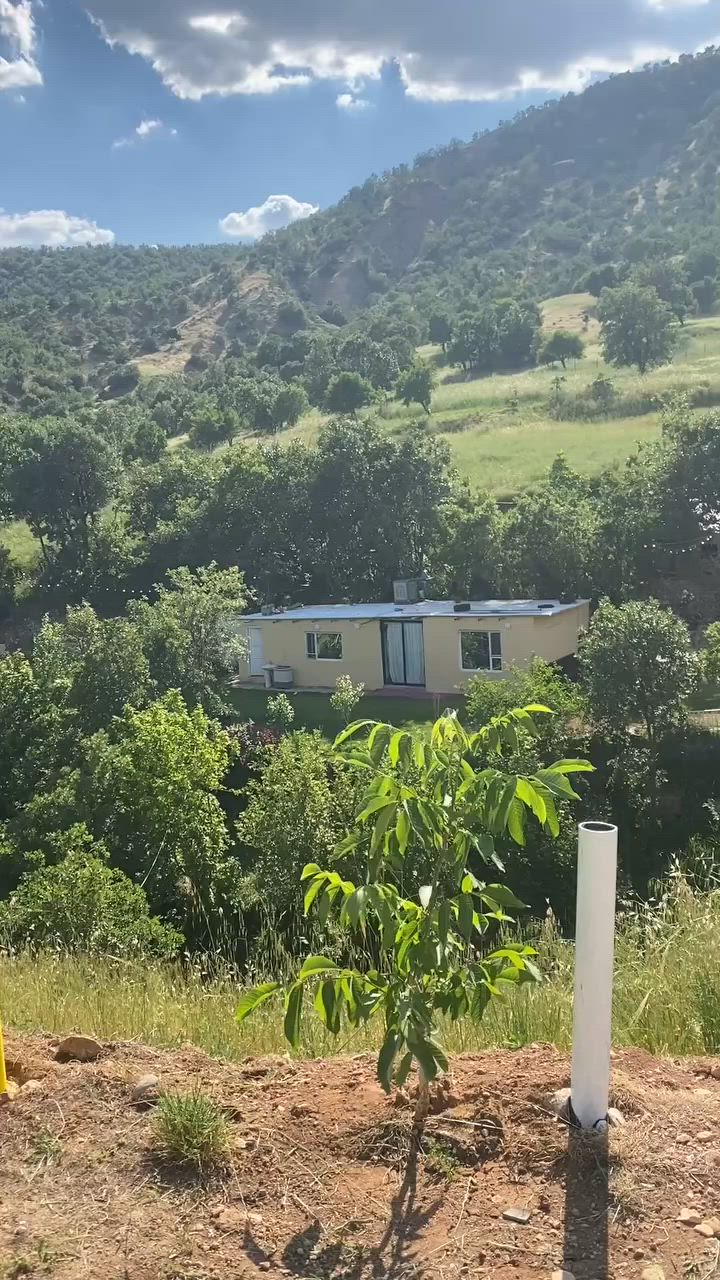 🏡 مزرعة رائعة للإيجار اليومي في العمادية! المكان المثالي لقضاء أجمل الأوقات مع العائلة والأصدقاء. ✨
🏊‍♂️ المزرعة مجهزة بكافة الخدمات مع مسبح نظيف ومعقم.
🌳 جلسات خارجية واسعة ومناظر طبيعية خلابة.
🛋️ غرف مجهزة بالكامل لراحتكم.
📍 الموقع: العمادية
📞 للحجز والاستفسار، يرجى الاتصال على الرقم: ***********
📬 أو تواصل معنا عبر رسائل الصفحة. أهلاً وسهلاً بكم! ✨
