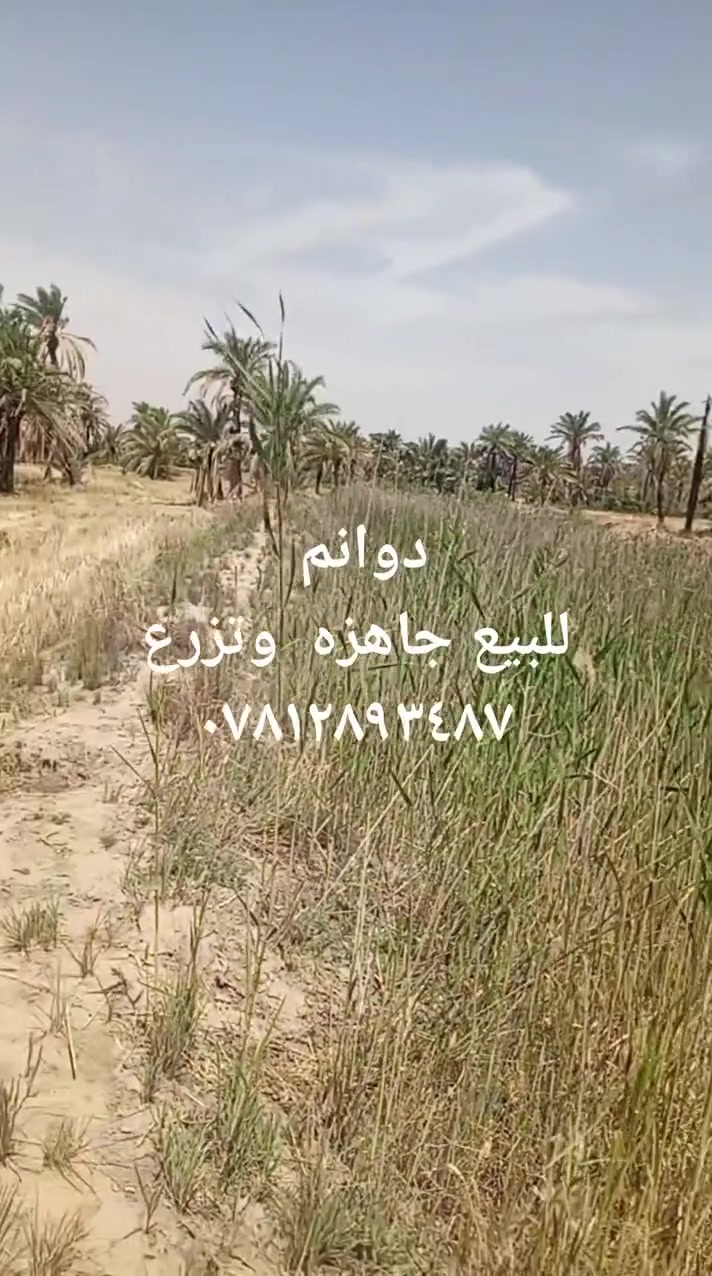 دوانم للبيع  ***********
