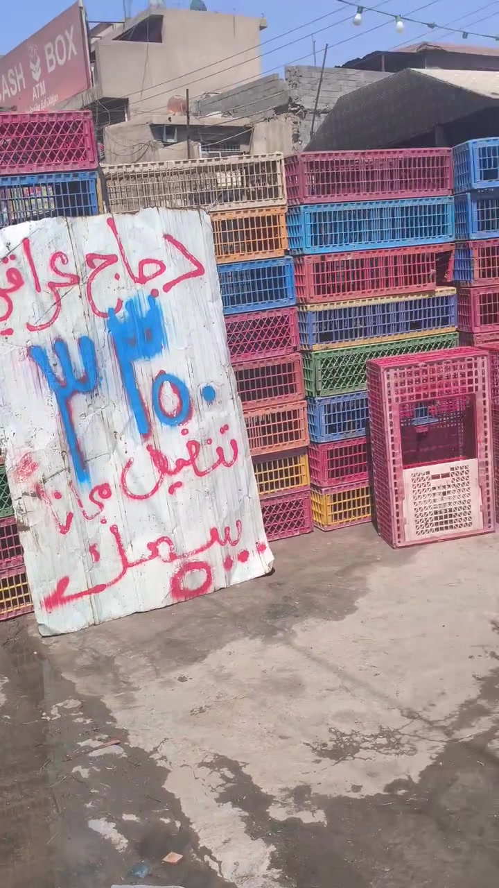 جملة ماشاء الله لبيع الدجاج والسمك بأسعار مناسبة بادراة علي المياحي*********** سعر الكيلو دجاج 3/350  لدينا شوي سمك ودجاج أيضا  بياع الشهداء قرب سوق رضا
