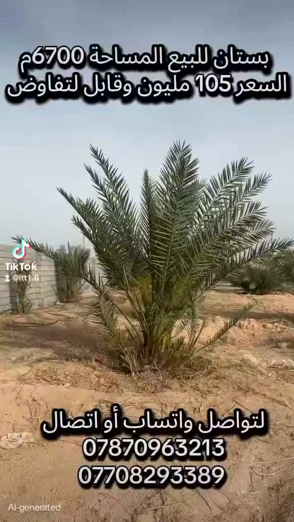 بستان للبيع مساحته 6700 متر الزبير مقابل البترو نهاية شارع التانكي مسيج بلوك وبيه بير ارتواز وكهرباء وماي تحليه و130 نخله و50 سدره وكرفان حراسه وصحيات لتواصل واتساب أو اتصال على الأرقام التالية
***********
***********
#عقارات_دجلة
