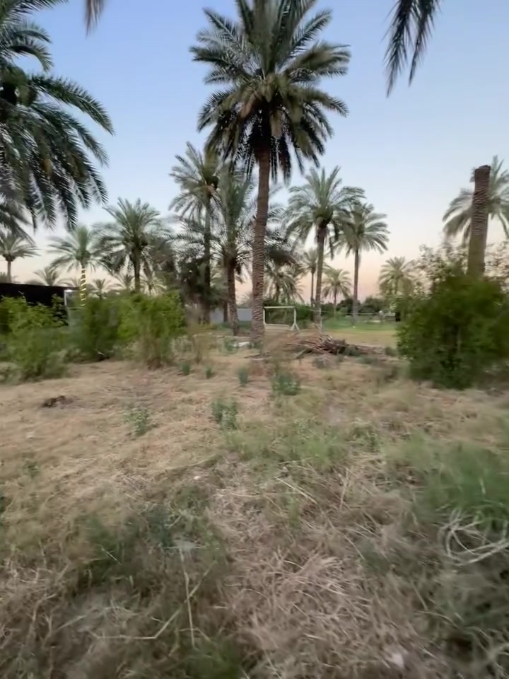 سلام عليكم للبيع نصف دونم 1250 متر واجه 16 نزال78سند ٢٥ المدائن شارع شارع بيت حميد عطية شارع الجامع خلف الجامع مباشر ***********

