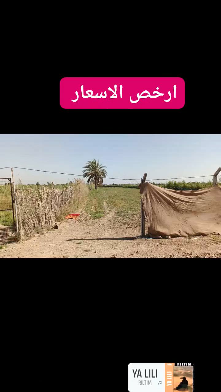 سلام عليكم يتوفر دونمين عقد زراعي العنوان حي الإنتصار الراشدية سيلاوي
(فلاح المرسومي ‏‪***********‬‏)

حسن كامل ‏‪***********‬‏

ليث الدليمي ***********

بسعر مناسب ٧٥ 

واجهه ٢٦ نزال ٢٠٠

شارع ابو وليد الشريفي 

قرب السيلاوي
