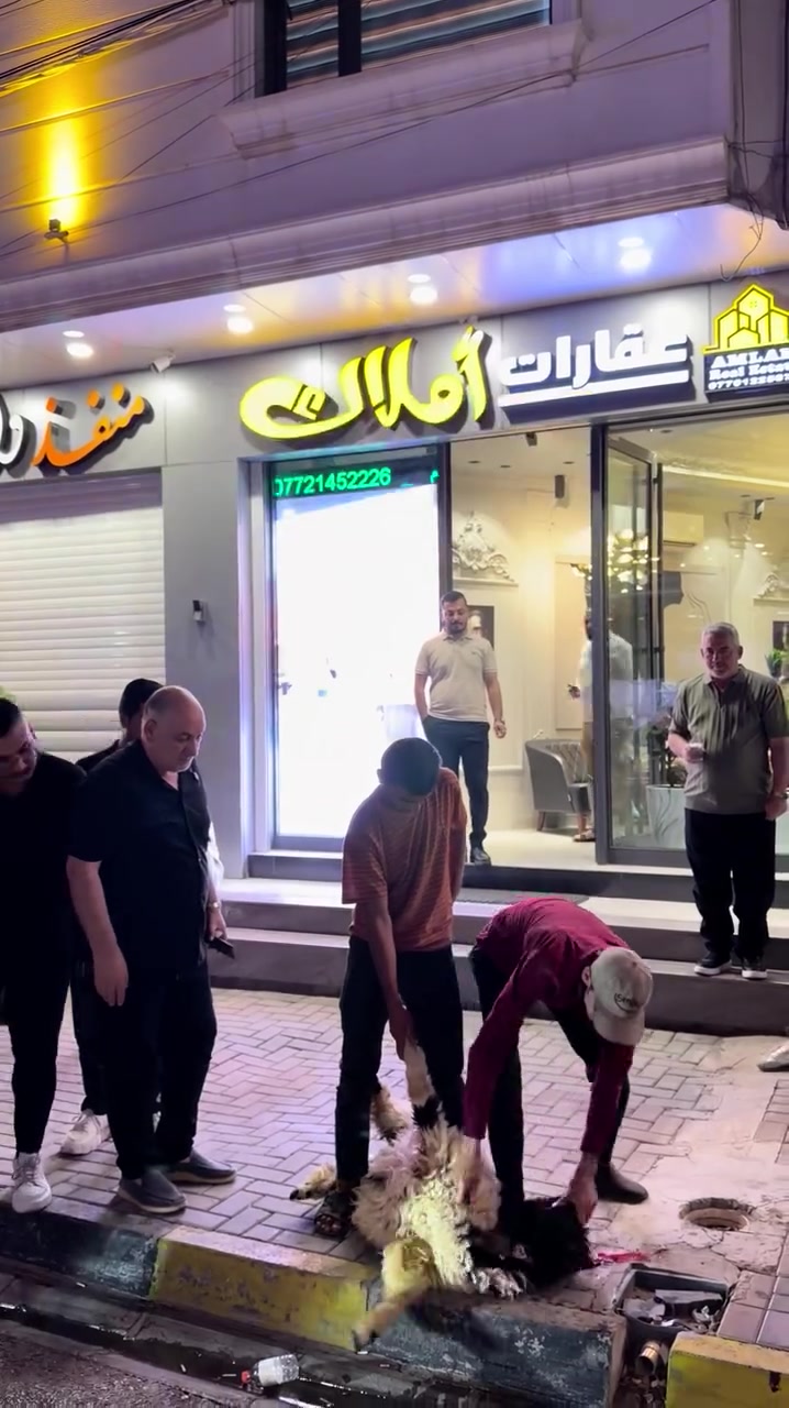 #انطلاق وجبه 9\7 \2026 _ ٣ باصات الى سفرة شمال ايران 
#من هنا تبدأ الحكاية قبل الانطلاق _من  امام مقر الشركة _حماس فول والثقة _مع ارقى عوائل يددلون علينا
#المقاعد الاخيرة لوجبة 17\7\2026الجمعة 
برنامج شــمال ايـران الـي تليق بزبائن شـركة قـدرت بابا برنامج بـ 5 نجوم🌟🏝️
#فندقنا مطلة على البحر بـ 5 نجوم🏖️
 #منتجع_قدرت_بابا #منتجع_اهوان

📜تاريخ الرحلات القادمة لسفرة شمال ايران📜

🟡رحـلة بتاريـخ 2026/07/17🟡
🌿كروباتنا مستمر كل الجمعة🌿

💯❕المـقاعد على وشـك النفـاذ سارع بـحجز المـقاعد❕💯

فندقنا _منتجع 5 نجوم مطلة على البحر _فوق الخيال انتظروا منا الابداع الحمدلله إقبال شديد على برامجنا🌲🌿 

__________________________
كروب بيروت كل السبت والاربعاء من مطار كركوك الدولي 
كروب تركيا كل اسبوع من مطار كركوك الدولي ذهاباً واياباً 
كروبات دول شرق اسيا من مطار بغداد الدولي ذهاباً وياياً 
______________________

#نحنُ لسنا الاول ولا فقط اعلان في التواصل الاجتماعي_ نحنْ خبرة _ربع قرن _في مجال السفر والسياحة 🗺️

______________________

التفاصيل اكثر اتصل وتساب لارسال برنامج بكامل مع صور فنادق خاص بنا 
______________________

📩 للحجز والاستفسار يرجى التواصل عبر الاتصال على الرقم: 

📞 *********** (واتساب+اتصال)
📌*********** (واتساب+اتصال)📌

________________________

عنوان الشركة/كركوك_شارع القدس_مقابل قصابة اياد_قرب بوكس كافي 

❗️لمتابعة صفحات الخاصة لشركتنا 
 
⬇️ TikTok
qudret.baba

⬇️ Instagram
Qudret_baba_tour

⬇️ واتساب
￼⁨***********⁩

#ايران #شمال_ايران #كروبات #السياحة #كركوك #kirkuk #السفر #الخطوط_الجوية_العراقية #بغداد #اسطنبول #رحلات #كركوك #كركوك #كركوك_شارع_القدس
