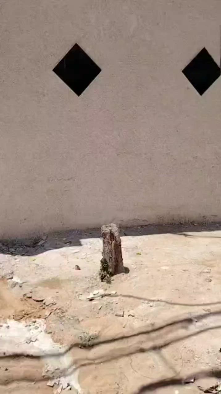 السلام عليكم بيت مساحه ١٢٠م بلدسيم السعر ٥٧وبي مجال ***********
