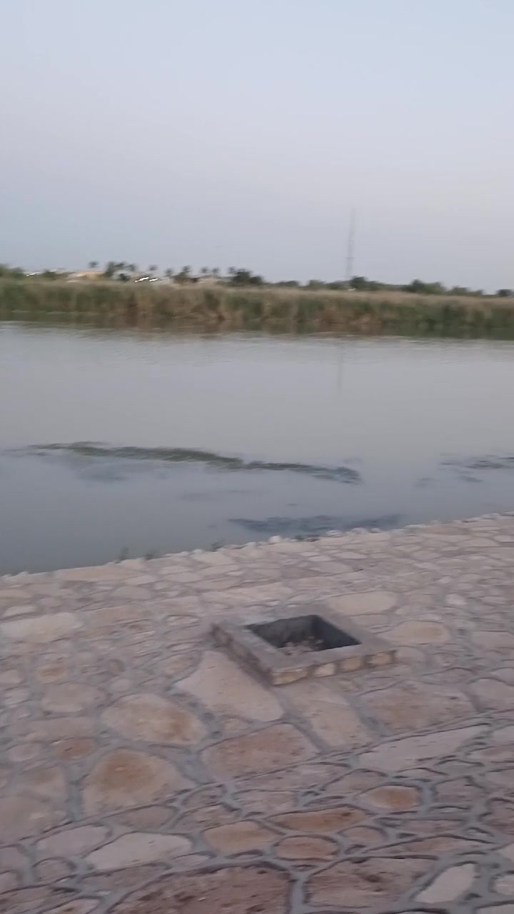 سلام عليكم ارض مزرعه لبيع في الانبار الفلوجه منطقه النعيميه  علي شط مباشر تبليط واصله تبعد عن شارع العام 200متر  كامله مساحه دونمين  تنباع دونم او دونمين ماكو مشكله نزال 165  كاع حلوه ومقلفه حجر  وسياج  مثل ما واضحه كدامكم رقم الهاتف ‏‪***********‬‏