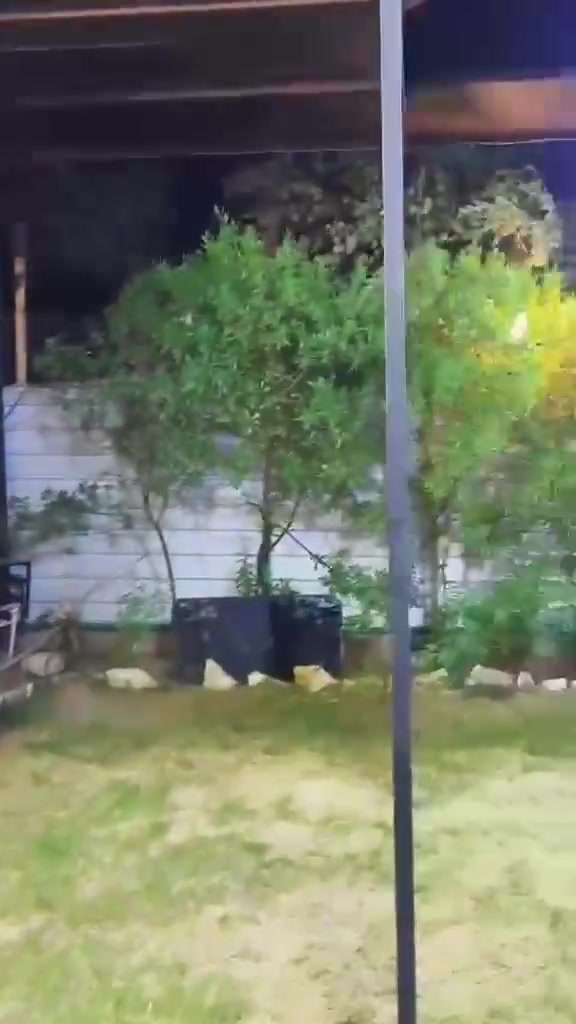 �✨ لؤلؤة دجلة الشاطئية ✨🌿
ملاذك المثالي للراحة والاستمتاع على ضفاف نهر دجلة. 💙

استمتع بأجمل الأوقات مع العائلة والأصدقاء في أجواء تجمع بين الهدوء، الطبيعة، والخصوصية.

🏊‍♂️ مسبح
🌊 إطلالة مباشرة على نهر دجلة
🎠 ألعاب أطفال
🔥 منطقة شواء مجهزة
🪑 جلسات خارجية مريحة
🍽️ مطبخ متكامل
🏡 صالة واسعة ومكيفة

سواء كانت مناسبتك عائلية، جلسة أصدقاء، أو يوم استجمام بعيد عن ضجيج المدينة، لؤلؤة دجلة الشاطئية هي وجهتك المثالية.

📅 الحجز متاح الآن.
📩 راسلونا للحجز والاستفسار، ونخلي يومكم ذكرى ما تننسي
الرقم ***********
