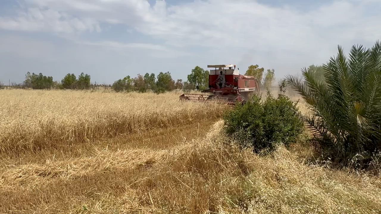 حصود لافرد للبيع رقم سنويه جاهز محرك خير من الله لاصرف لا تبخير  مكان كركوك رقم موبيل ***********وتساب
