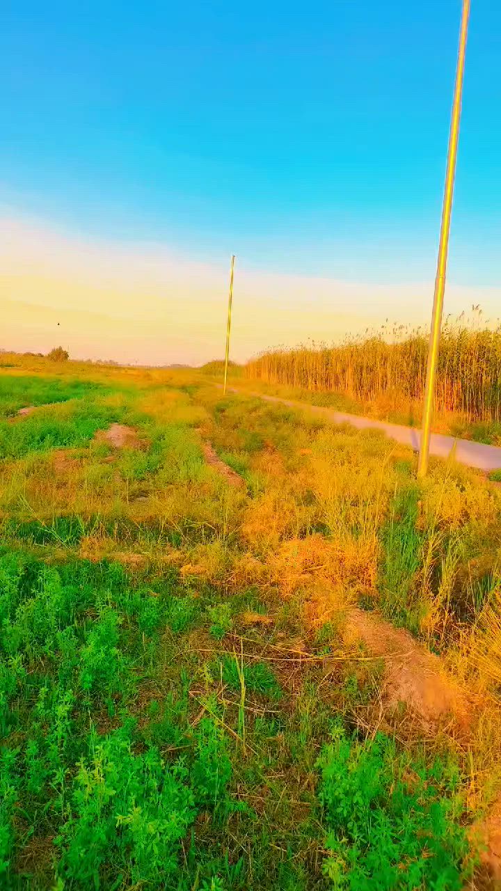 سلام عليكم لبيع كاع ١٠ دوانم بقداد ناحيت الوحده قرب بسمايه عقد زراعي أمي سقي تبليط كهربا ***********
