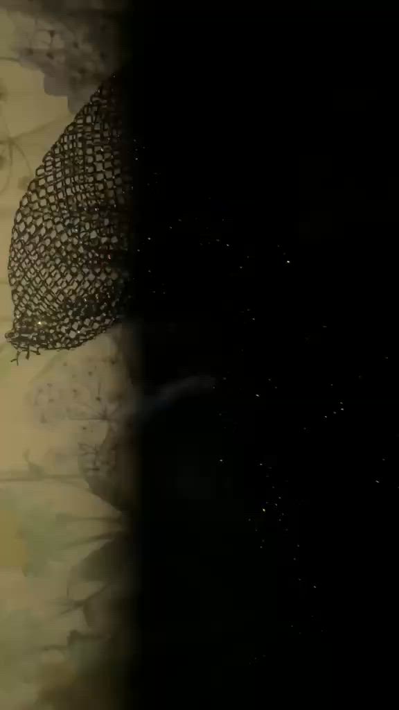 منو تريده ب ٦٠ وزن ٧٠يلبس


**إذا كنت صاحب هذا الإعلان وتريد حذفه لأي سبب، رجاءا أرسل رسالة إلى الدعم الفني**