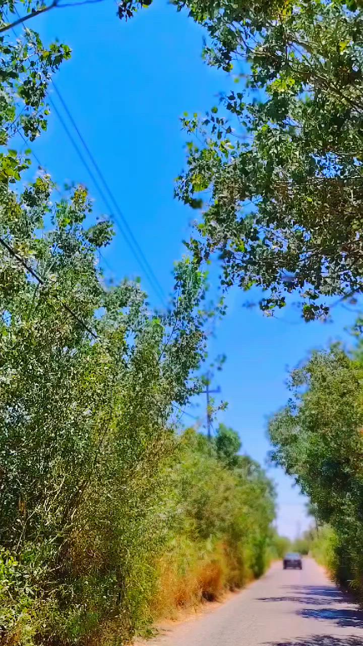 السلام عليكم دراجه للبيع نامه سكنر  كفاله عامه ما ناقصه برقي دراجه مال واحد جناي مكاني نعمانيه  سعر 675 وبيه مجال بصيط هاذه  رقمي ***********
