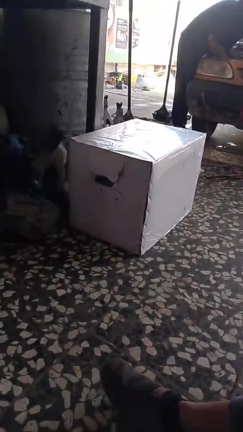 سايبا موديل 2013 سياره مطلوبه هئيه اخضو سنويه طوني وصل سياره مكينه صار سبوع شادها كسر كارتون واضح بل فيديو كير بل جيس نوزلات جدد درايم شفتات جدد اذاين محرك جدد بوربرنات جدد شاشه دوشمه سياره جاهز ترايك وين متريد سعر 14 قفل مكاني الامين بغداد رقم ***********
