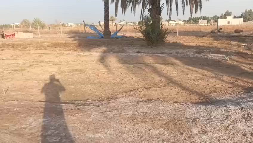 قطعه للبيع 500م مناسبه
في منطقه الانتصار مقابيل مستشفئ حماد شهاب
اي ستفسار اتصل وتدلل ***********
