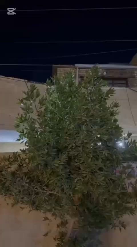 بيت مساحه 107 مربع طابق ونص الحسينينه منطقه 28 قريب جدا عن السوق الثاني ***********
