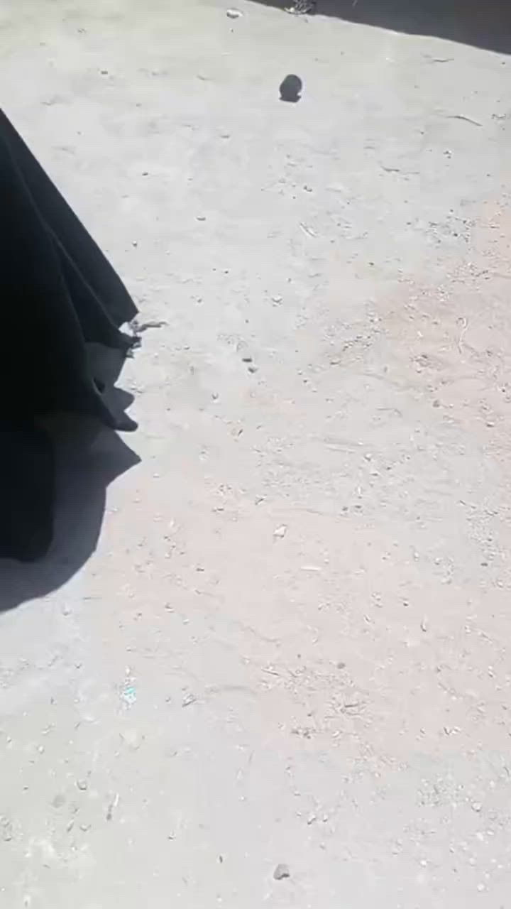 سلام عليكم
بيوت عدد 4 لعنوان طويريج الحولي 

1الاول مساحه 200  سند 25 طابو زراعي بي مداور سعر 30 وبي مجال 

2الثاني مساحة 150 سند 25 طابو زراعي بي مداور سكف سندويج لسعر 17 وبي مجال 

3الثالث مساحة 150 سند 25 طابو زراعي بي مداور السعر  17 وبي مجال 

للستفسار ***********
