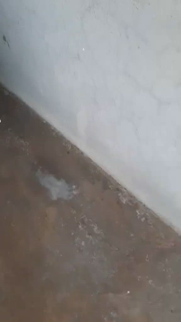 ثلاجه للبيع شغاله مابيها عيب 18 قدم ب140 موصل الايسر


**إذا كنت صاحب هذا الإعلان وتريد حذفه لأي سبب، رجاءا أرسل رسالة إلى الدعم الفني**