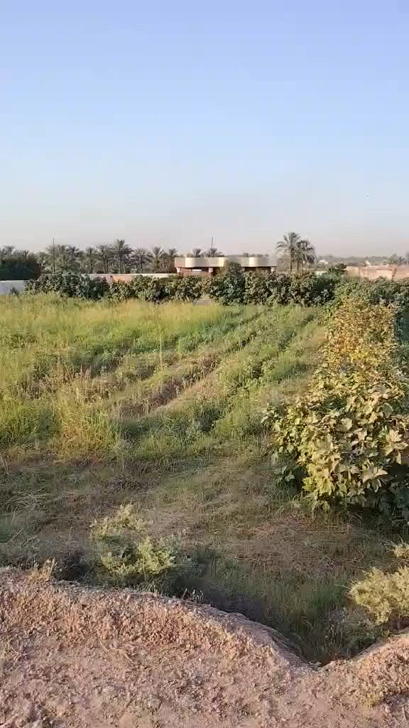 السلام عليكم
يوجد بيت للبيع مساحه 180 متر 
مع ارض مساحه دونمين عقد زراعي مشروع (117 )
موقعه ابو غريب جامع حميد شعبان منطقه الكراغول 
يتوفر ماء بئر +ماء اساله + كهرباء  +خط ذهبي للأستفسار مراسله الصفحه او الاتصال ‏‪***********‬‏///‏‪***********‬‏
