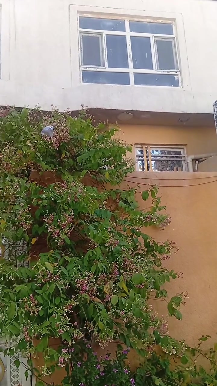 العنوان كربلاء المعملجي مابين مستشفى الوارث والعاب النوارس الفرع مقابيل قاعة السلطان 3دقائق عن الامام الحسين مشي للامام نصف ساعة متوفر خط نقل سيارات لراس الشارع.
دار 100م واجهة 6وربع م ونزال 16م يتكون طابق ونصف بناء حديث سنة 2022 البيت كلة جديد يتكون من غرفتين نوم وحدة بالارضي وحدة بالطابق الثاني أيضاً صالات عدد 2 وحدة ارضية طول 6في 4والثانية فوق استقبال 4في4 مطبخ 4في3 حمام خارجي وحمام داخلي مساحتة 3في2 ومنور 
البيت بناء درجة اولى من التسليح البتلو اوكراني والكهرباء الاردني سبورلايتات سقفية كلة والبواري الماء امل الشريفي المصري الله شاهد تعبان عليه حيل اقرار محكمة 25 باسم المشتري الجيران احسن ناس فرع هدوء مولدة قريبة ومحولة كهرباء بصفنة مي اسالة متوفر 24ساعة قوي انترنت خط الوطني منضومة كامرات،للاستفسار اكثر***********ابوزين العابدين.
السعر المطلوب #105وبيه مجال قليل 
او مراوس دونم اونصف دونم في قضاء الحر بمناطقه
