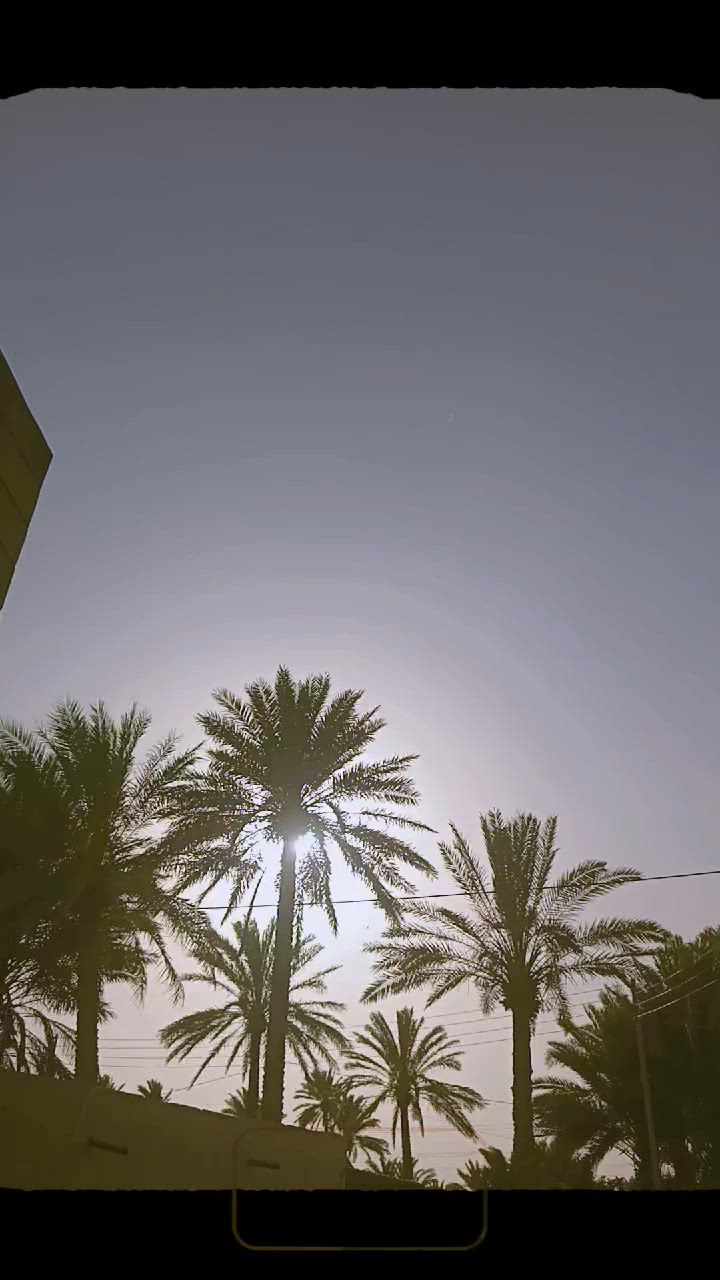 سلام عليكم جنبي H1 موديل 14  للبيع سياره جاهزه ما عايزه ولا برغي 
بيهه الربع الخير وره باب لسلايت ولجنطه مرشوشه بدون ضربه  وبيهه بلبجم رش ولصفحه طويله كفاله 
ولباقي شوفت عينك اي ستفسار خابرني ***********
مكان سياره بلحله ابو غرق
